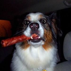 Meet your Posher, Dave